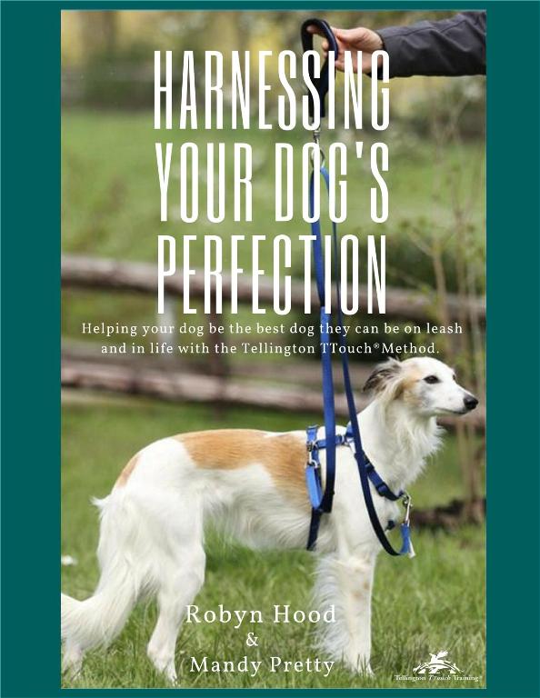 Robyn Hood/Mandy Pretty: Harnessing Your Dog's Perfection (NUR AUF ENGLISCH) 