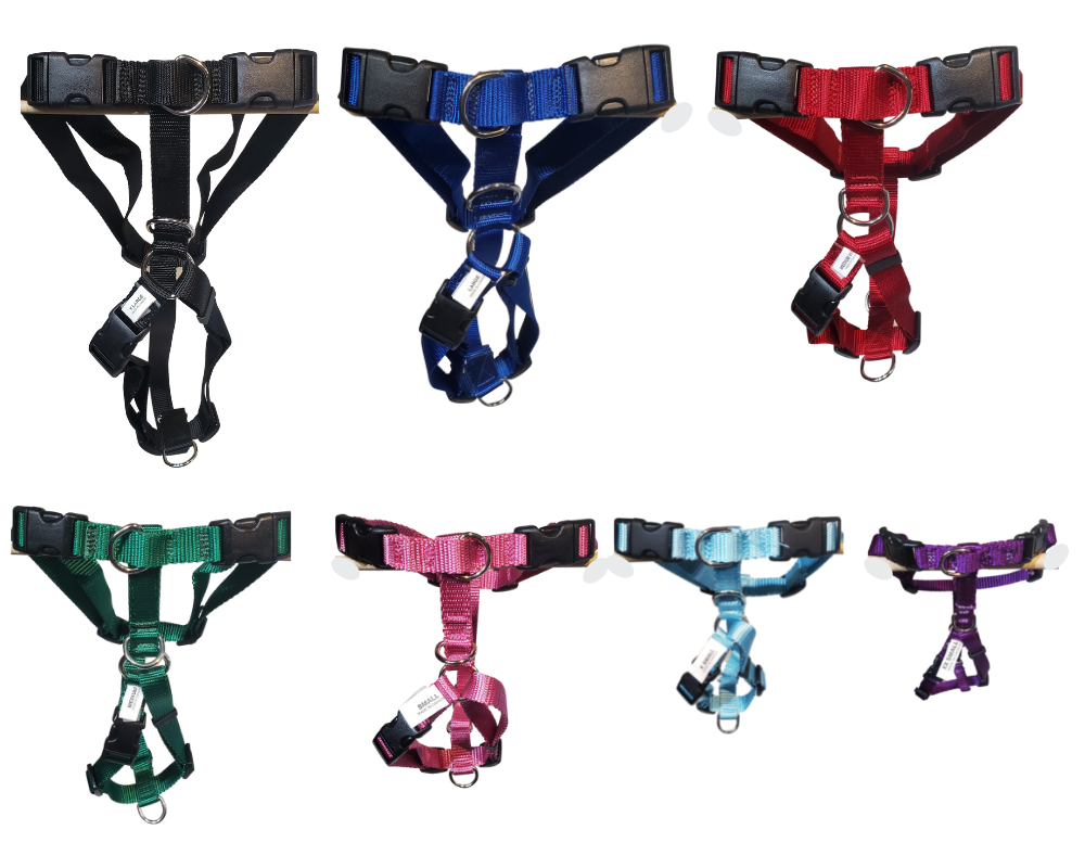harness-options.png