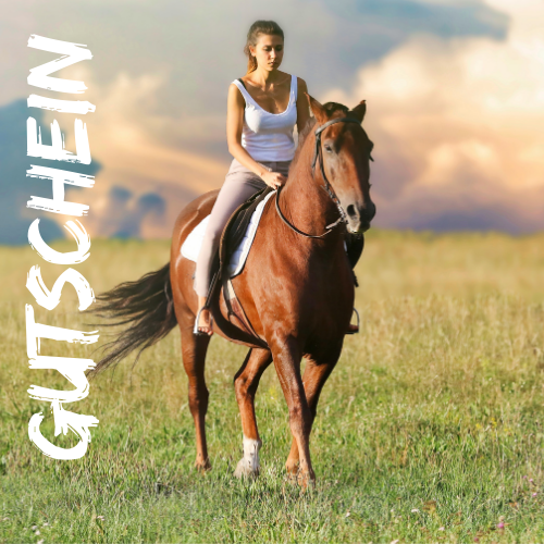 Tellington Gutschein